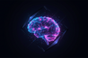 BRAIN CODING - Начало